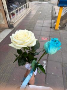 شاخه گل رز سفید و آبی برای سورپرایز تولد و سالگرد ازدواج